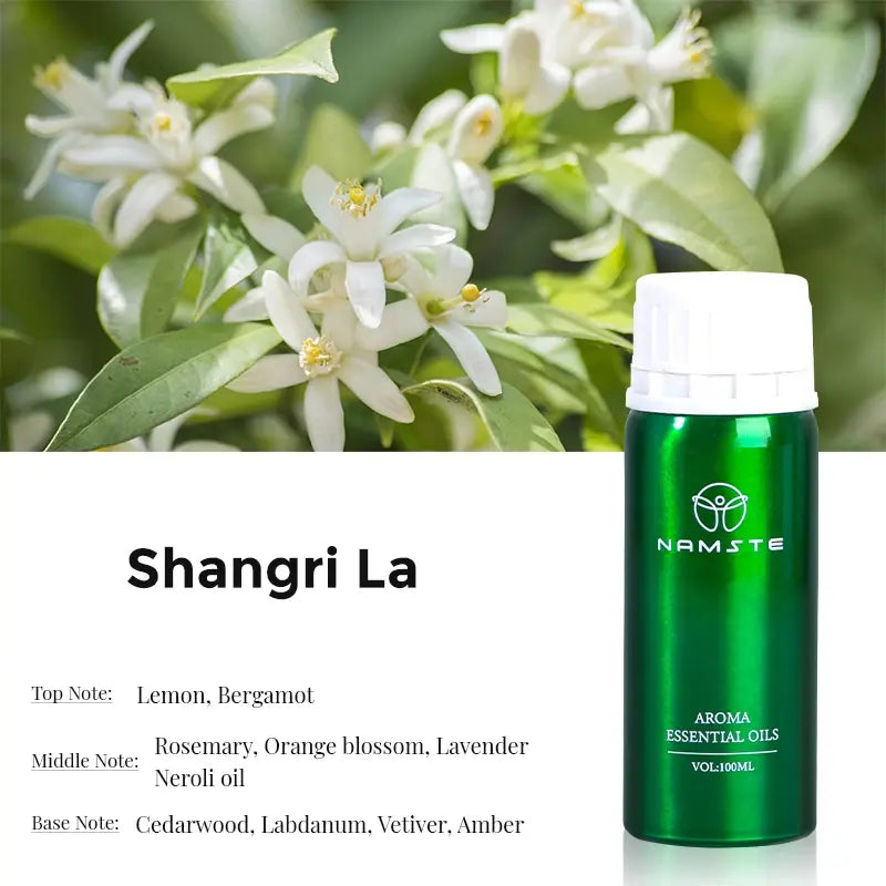 Elegant luxury essential oil diffuser creating a serene and opulent ambiance for your living space